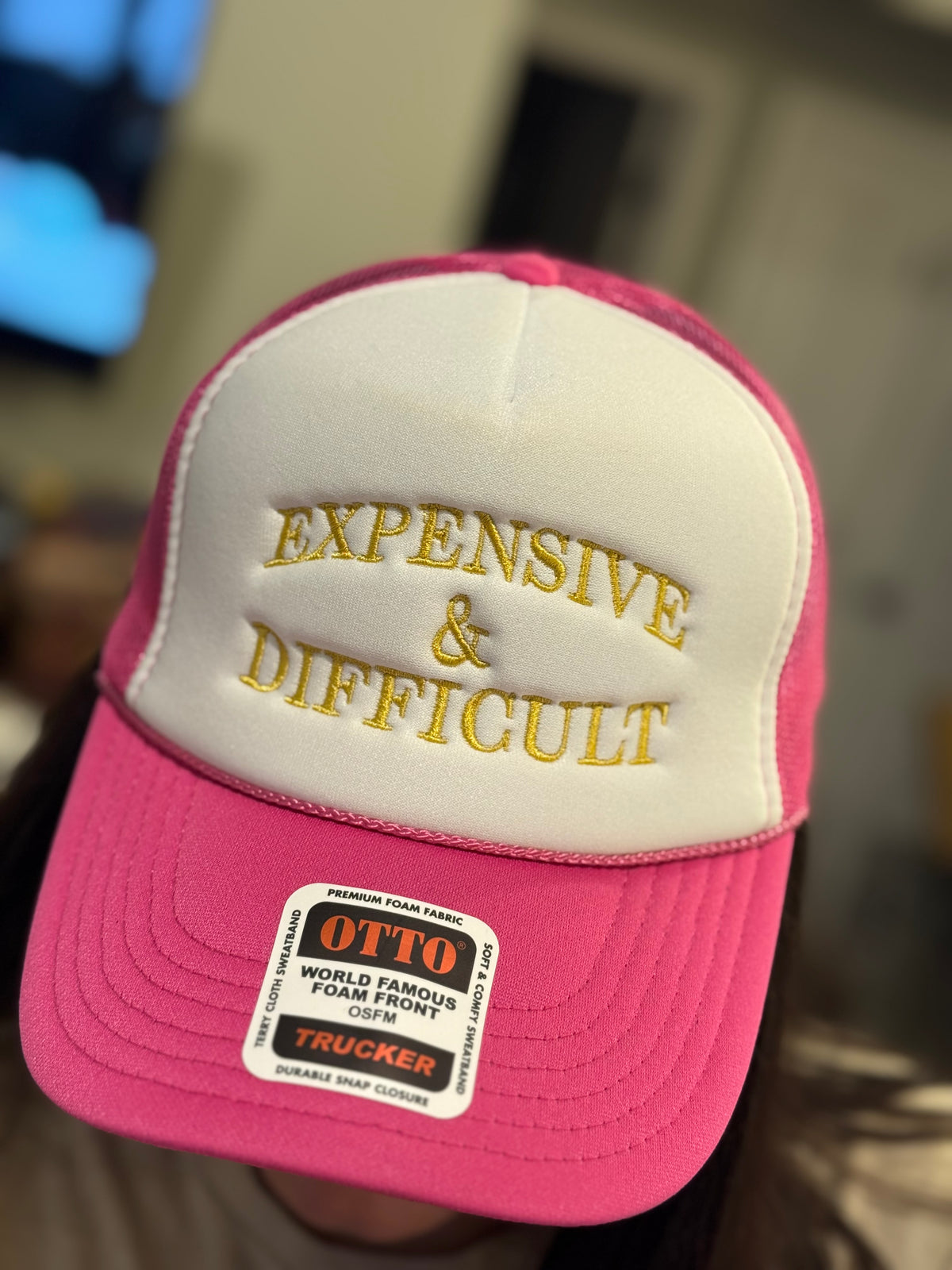 Expensive and Difficult embroidered funny trucker hat